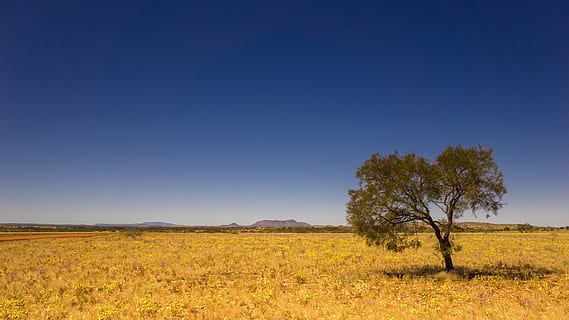 Mt Isa