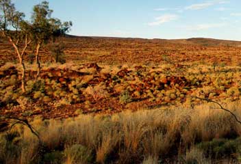 Pilbara landscape